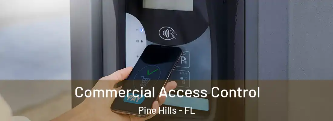 Commercial Access Control Pine Hills - FL