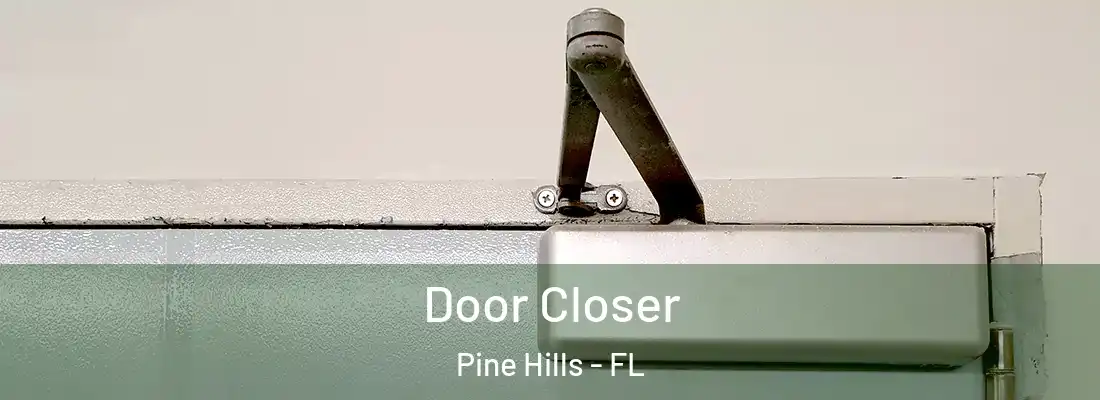 Door Closer Pine Hills - FL