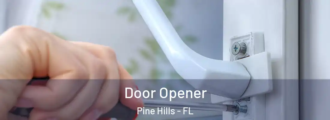 Door Opener Pine Hills - FL
