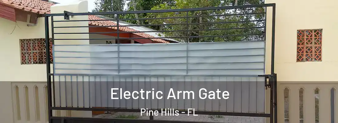 Electric Arm Gate Pine Hills - FL