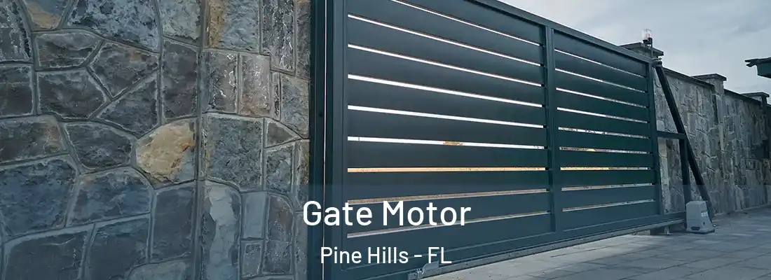 Gate Motor Pine Hills - FL