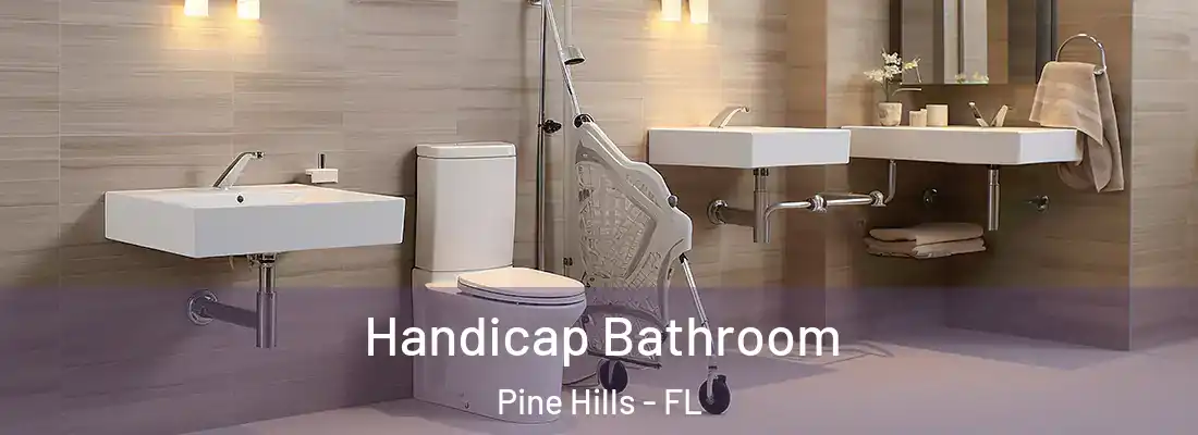  Handicap Bathroom Pine Hills - FL