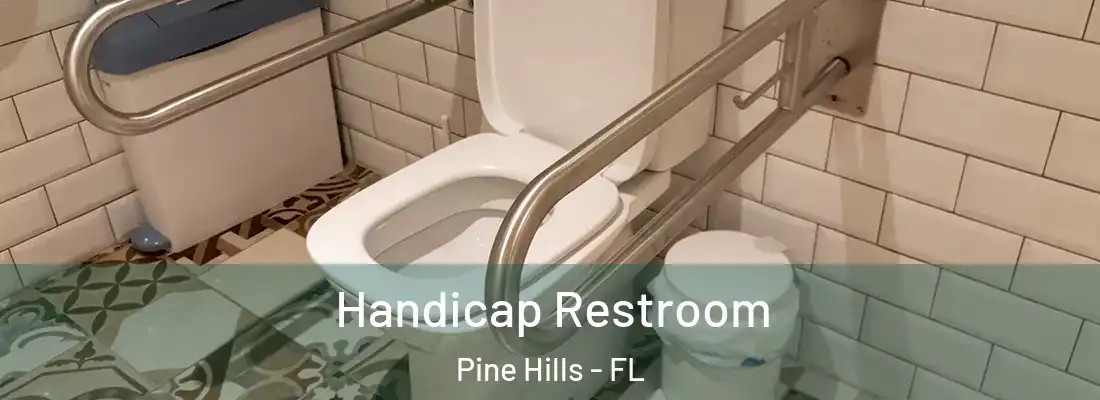 Handicap Restroom Pine Hills - FL