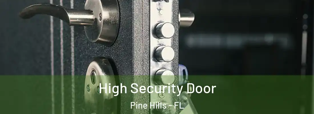 High Security Door Pine Hills - FL