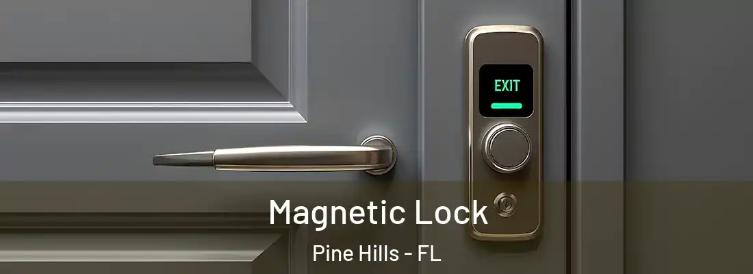 Magnetic Lock Pine Hills - FL