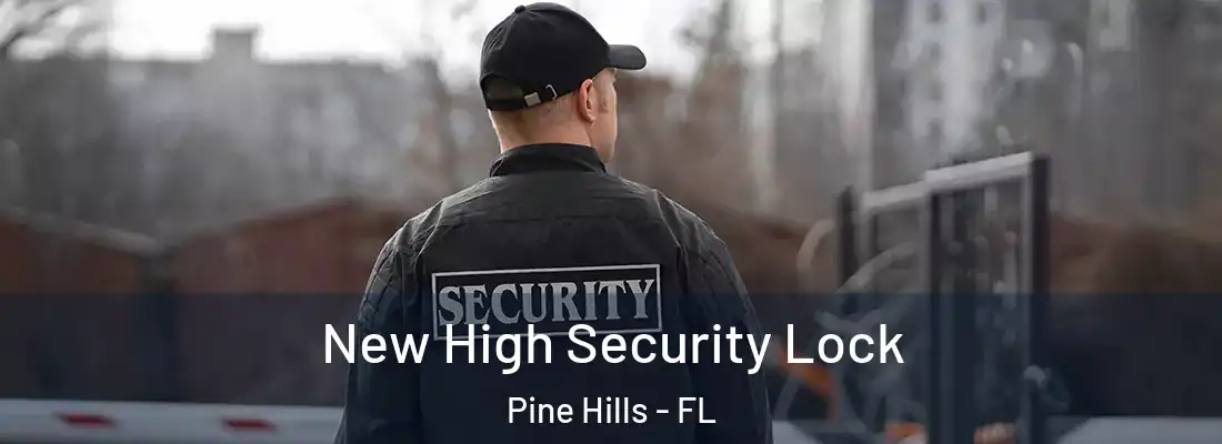 New High Security Lock Pine Hills - FL